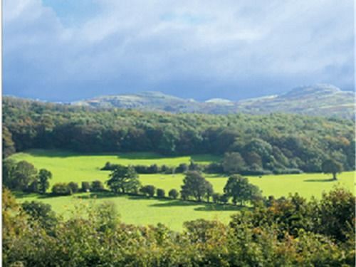 The Druid Inn Llanferres Eksteriør billede